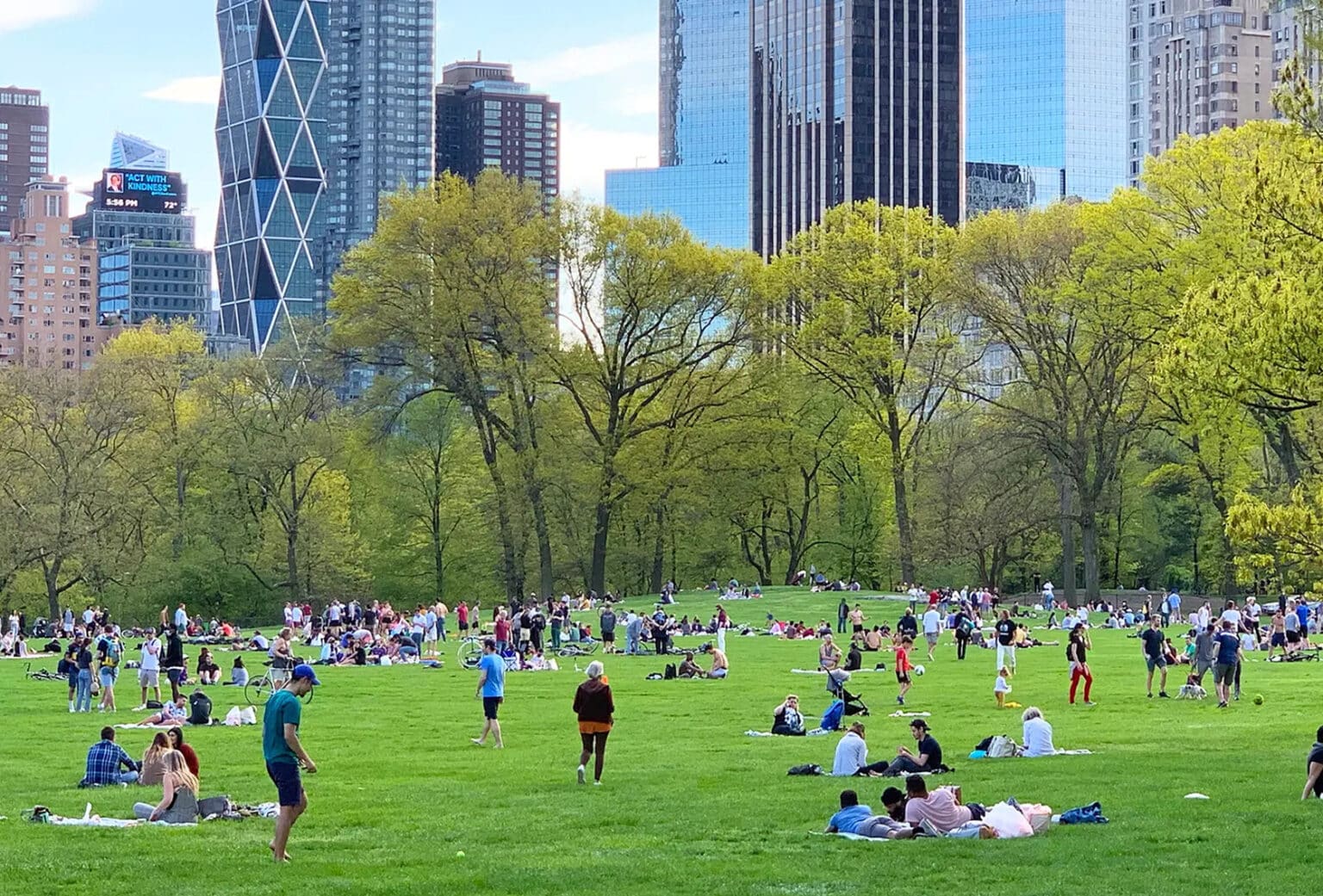 sheepmeadow cp