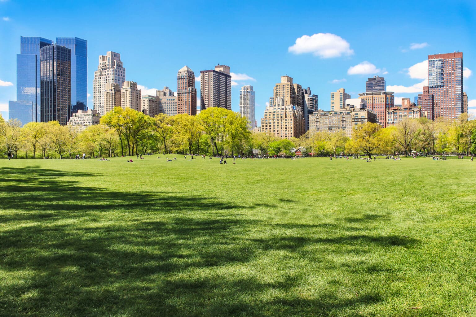 View of New York city skyline from Central park