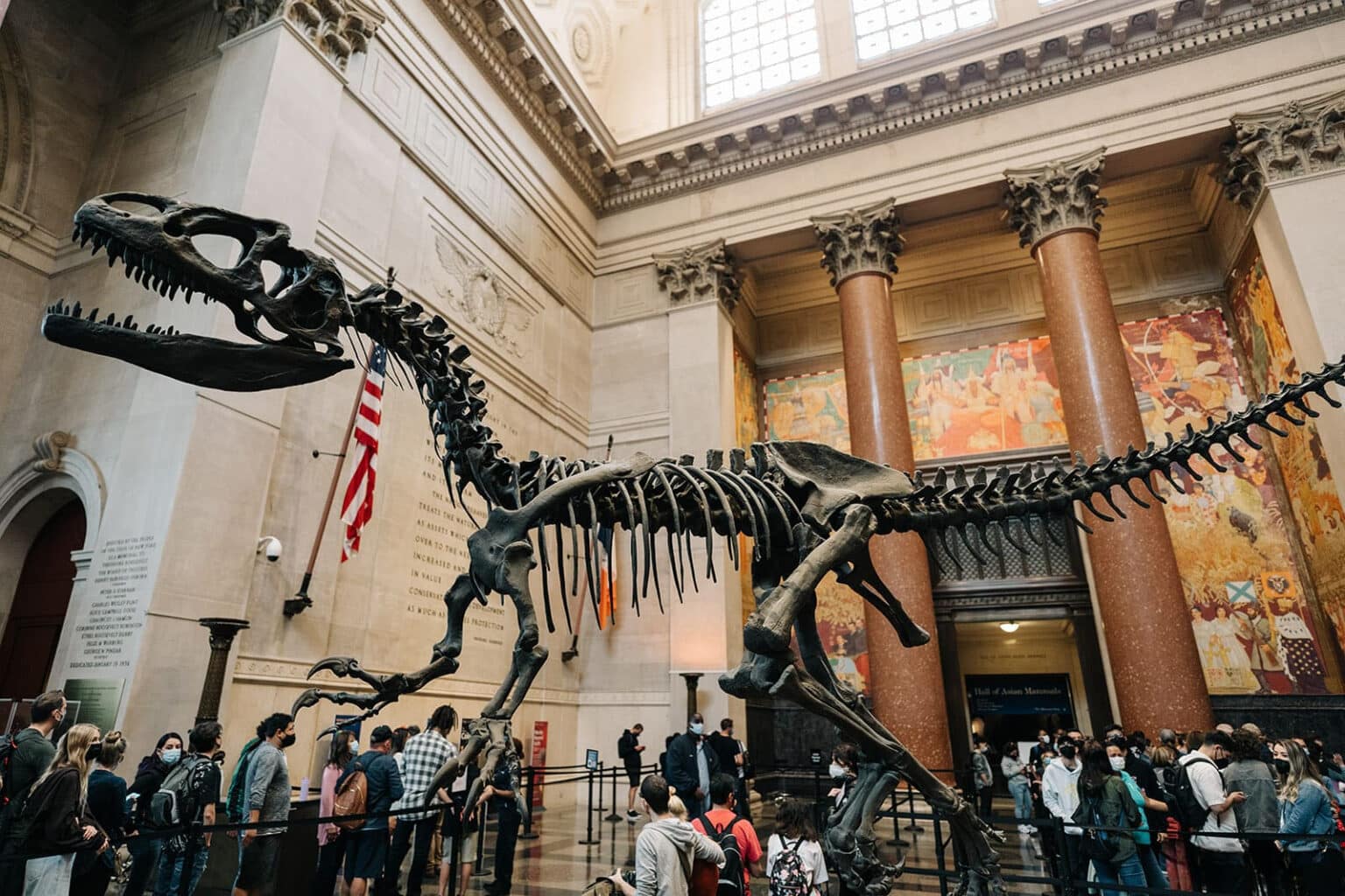 musee americain histoire naturelle 7