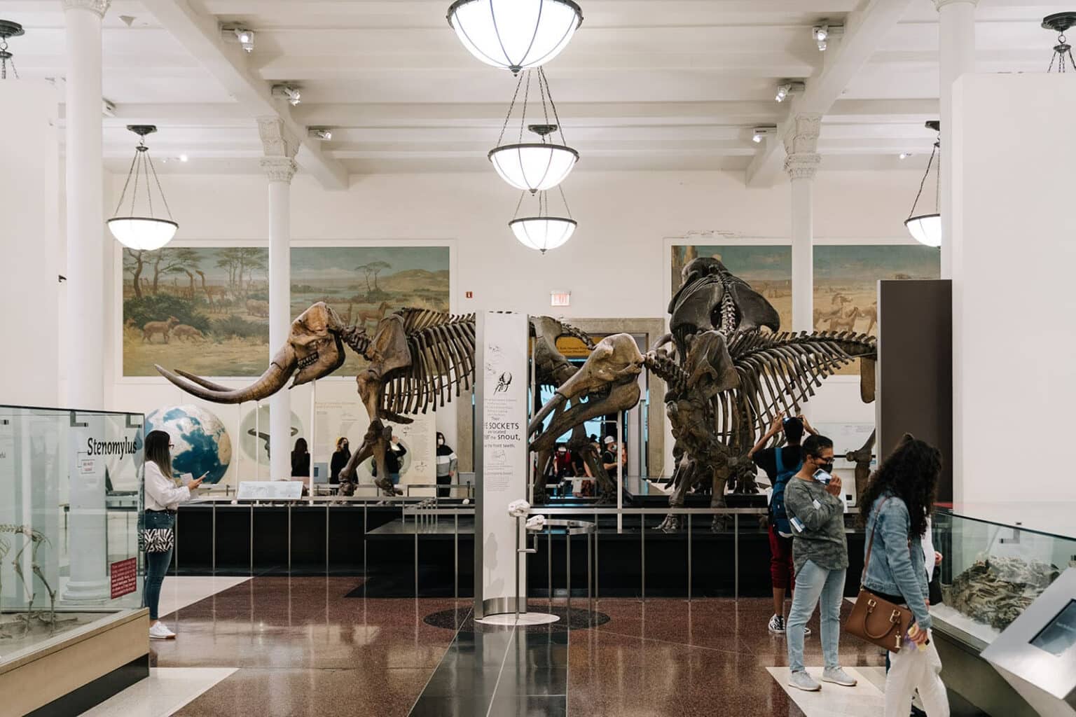 musee americain histoire naturelle 9