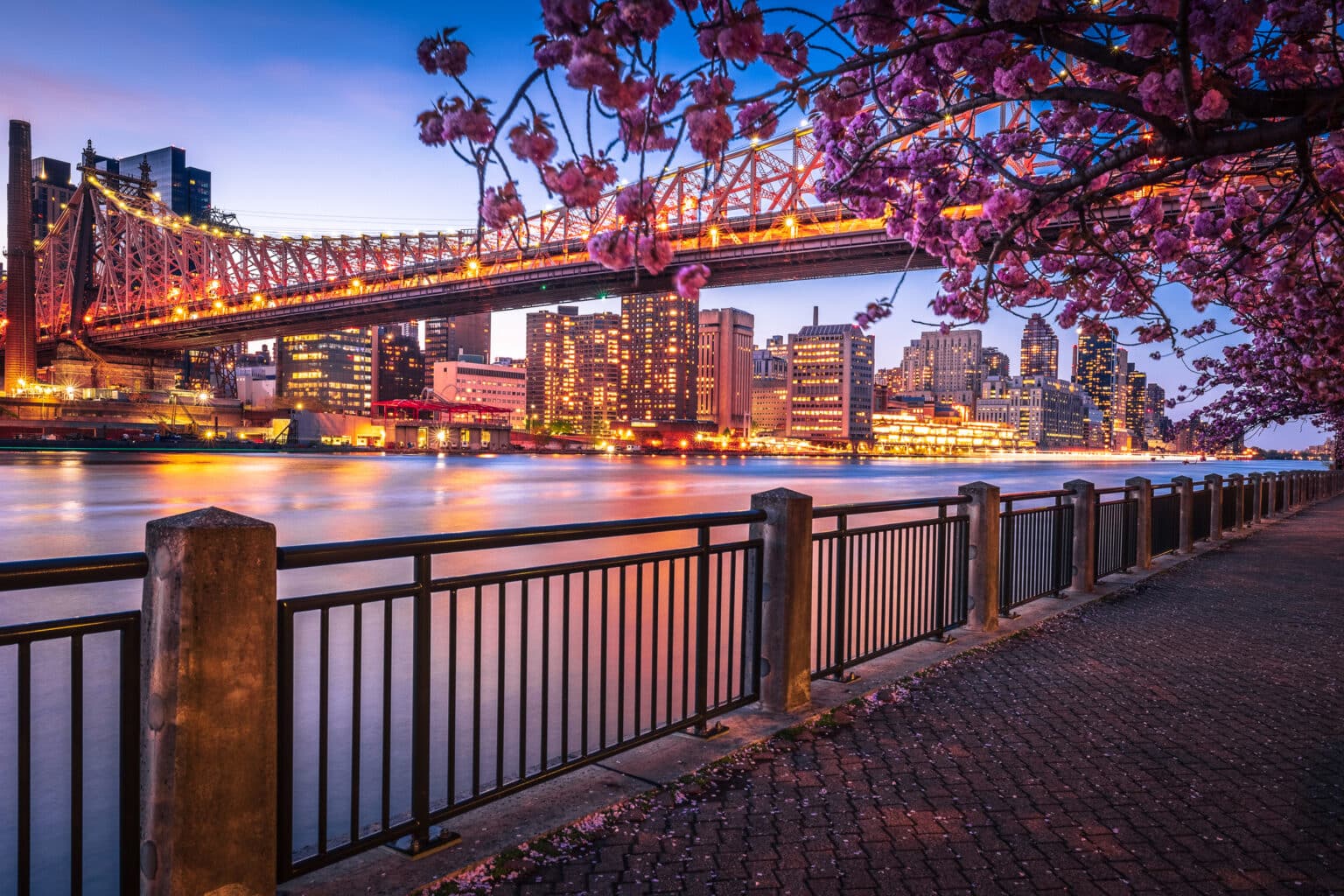 Queensboro Bridge and Midtown Manhattan shot from Roosevelt Island