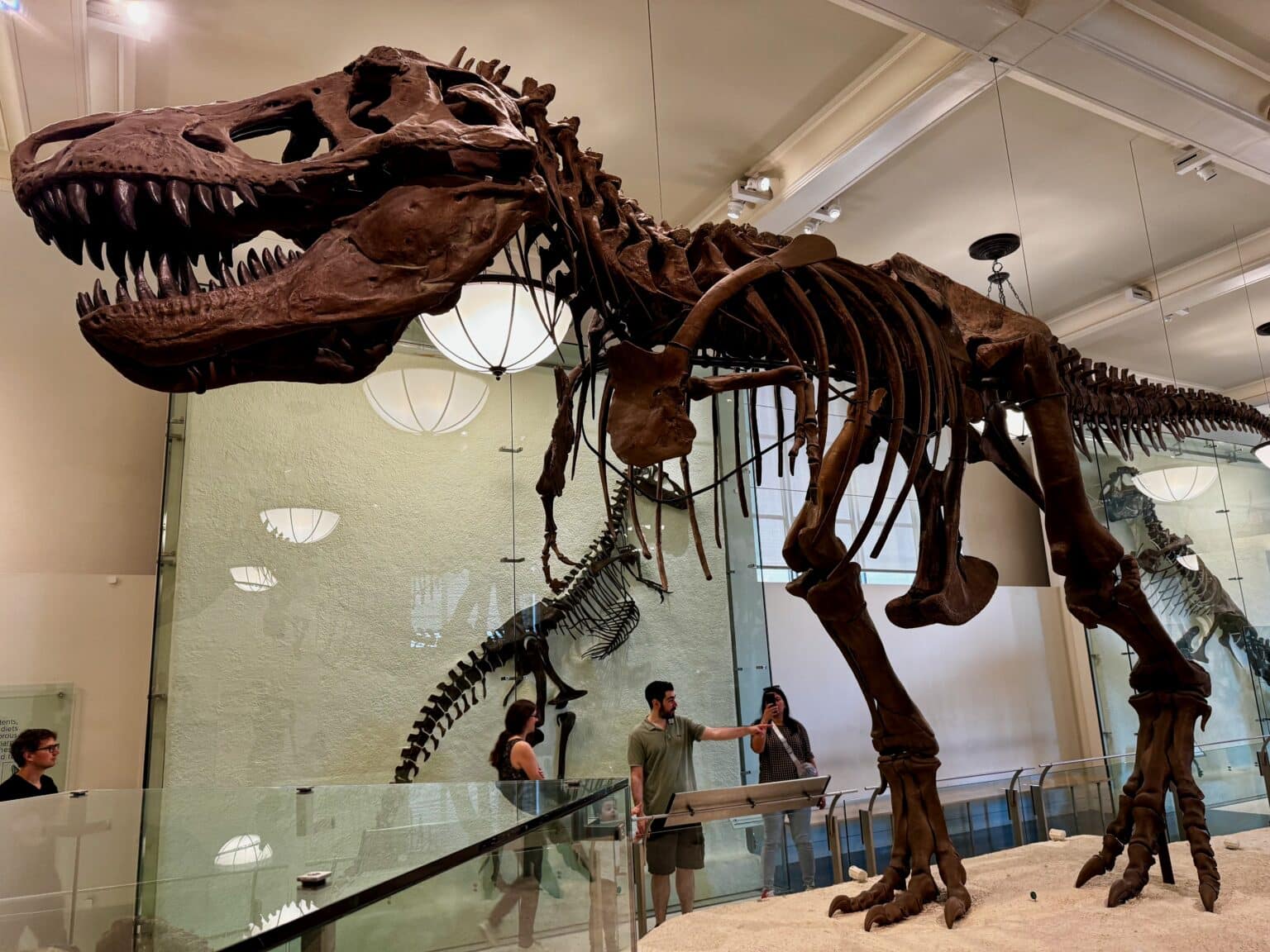 musee americain histoire naturelle 17