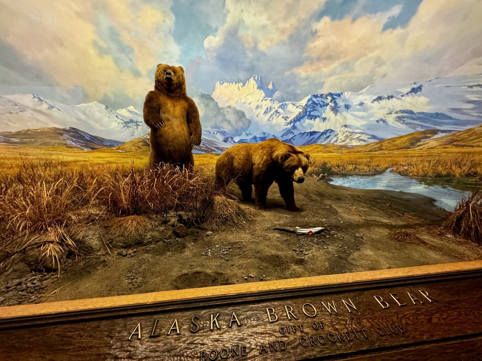 musee americain histoire naturelle 21