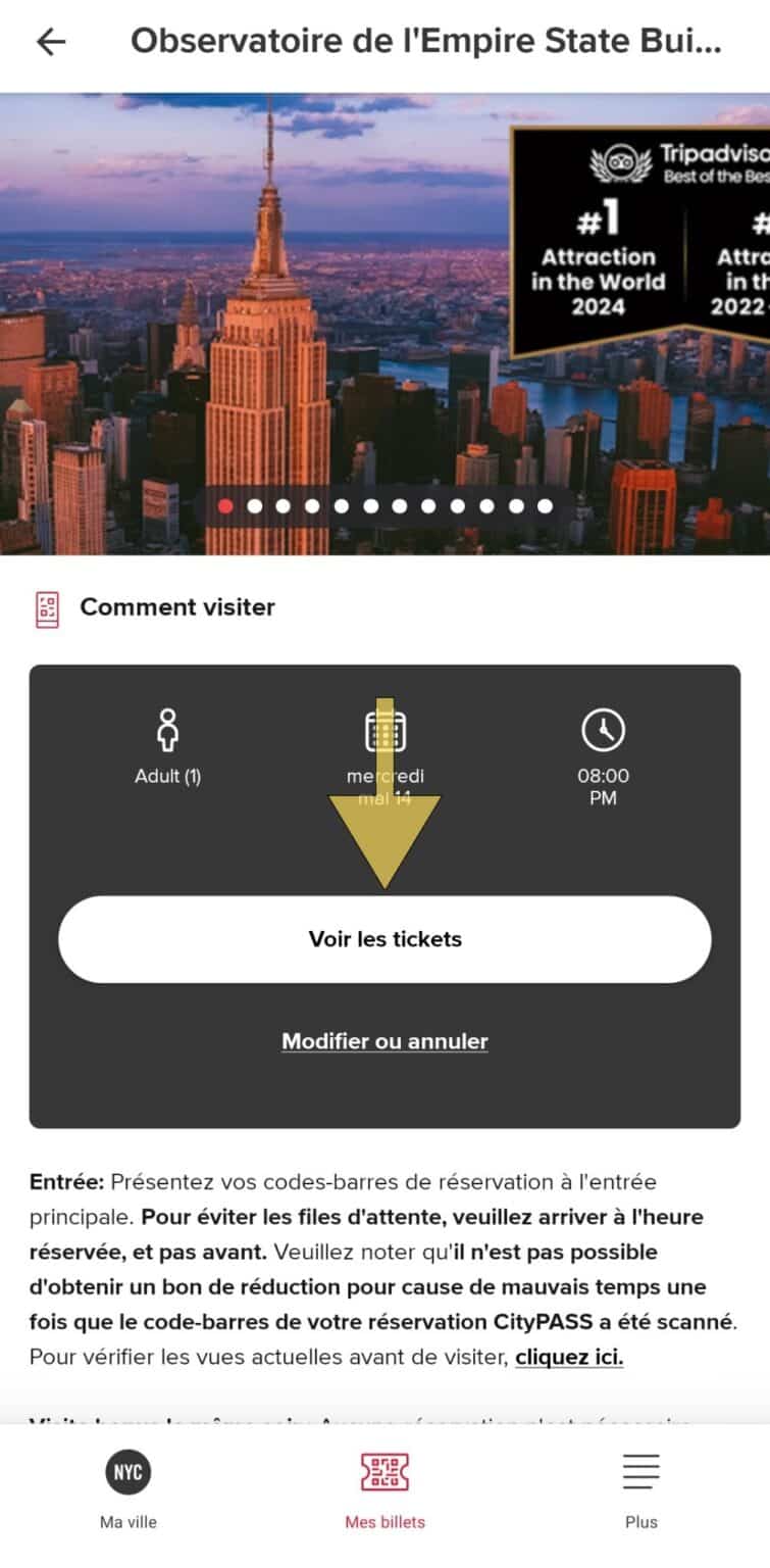 Cliquez sur voir les billets